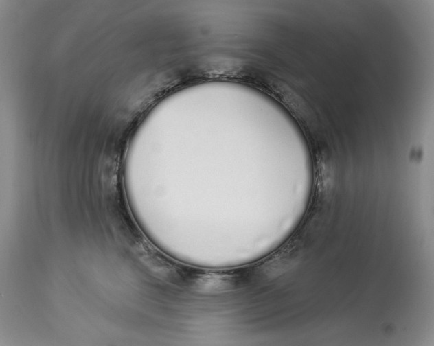X0000114000664200910231753