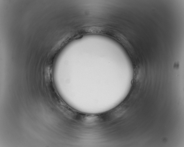 X0000114000669200910231753