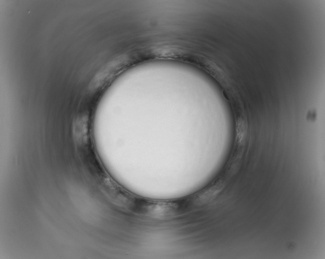 X0000114000670200910231753