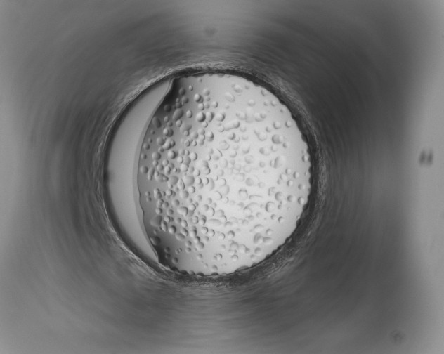 X0000114000673200910231752