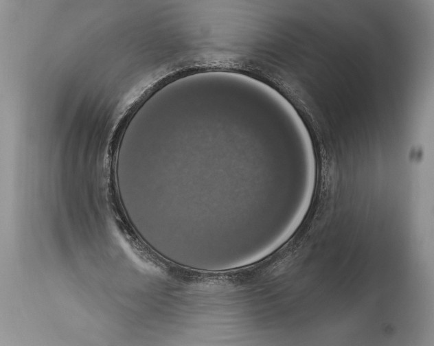 X0000114000674200910231752