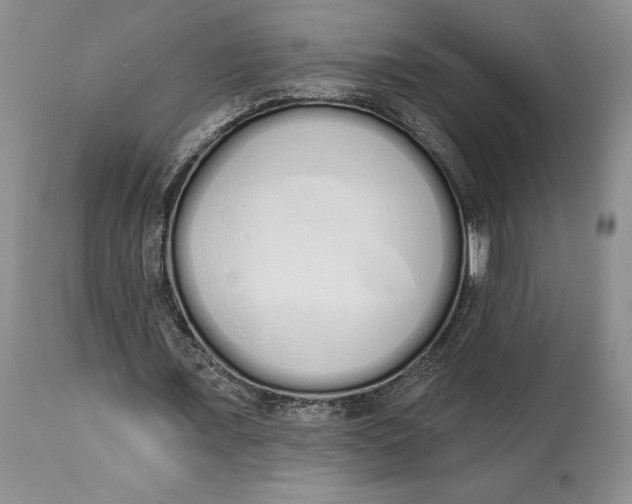 X0000114000675200910231752