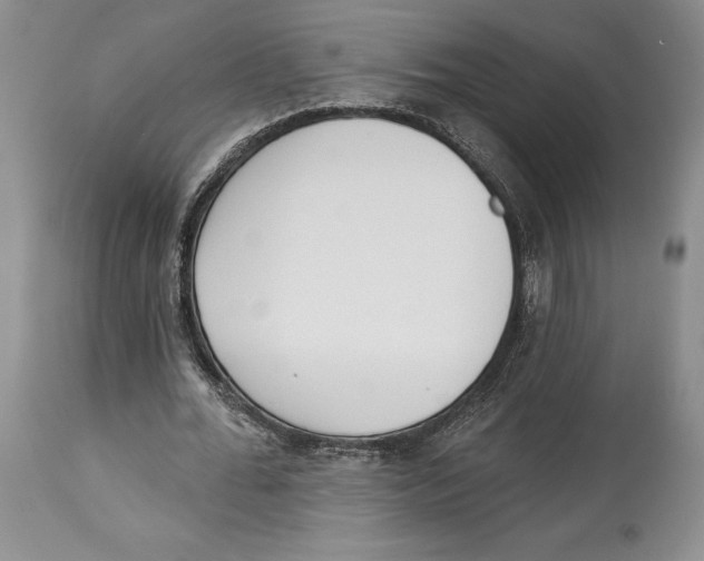 X0000114000676200910231752