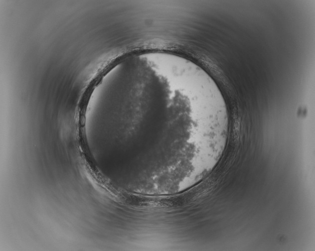 X0000114000678200910231752