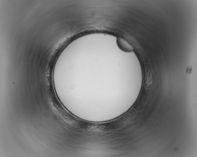 X0000114000680200910231752