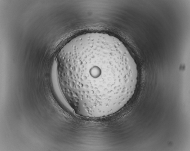 X0000114000681200910231752