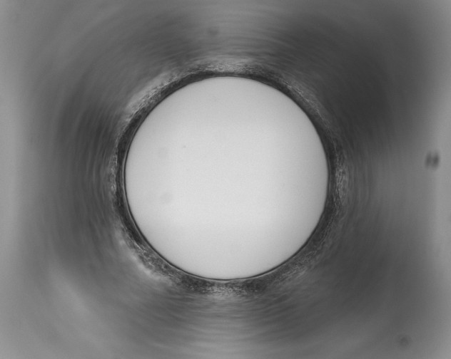 X0000114000682200910231752