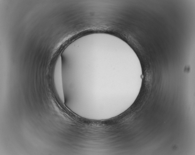 X0000114000684200910231752