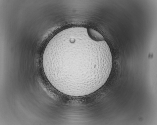 X0000114000688200910231752