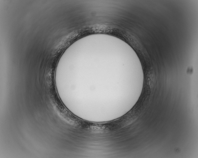 X0000114000690200910231752