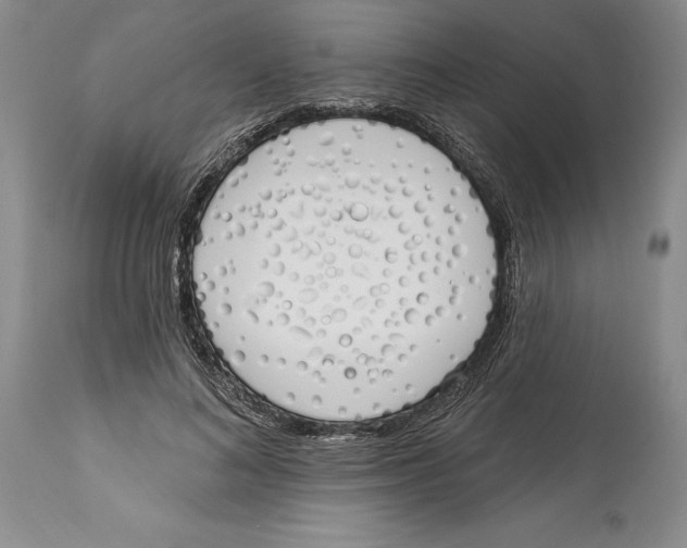 X0000114000692200910231752