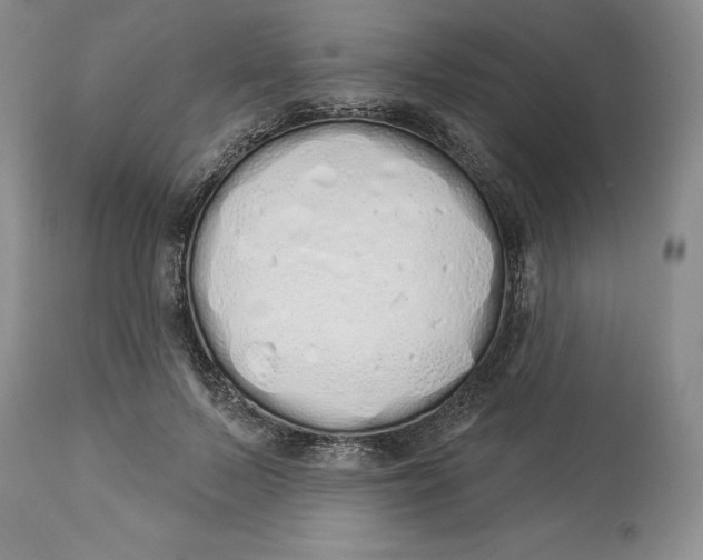 X0000114000695200910231752