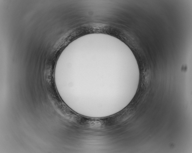 X0000114000698200910231752