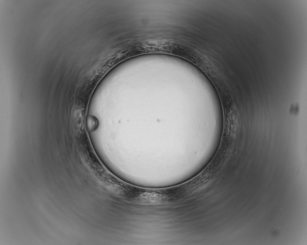 X0000114000699200910231752