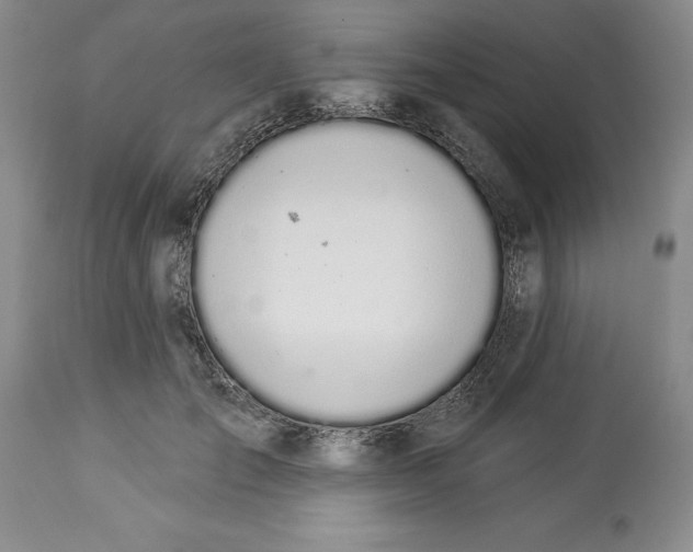X0000114000701200910231752