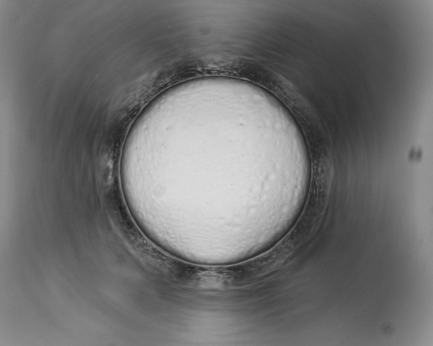 X0000114000703200910231752