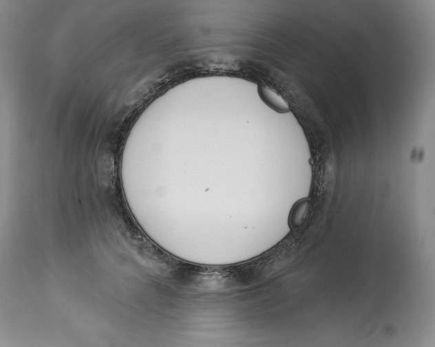 X0000114000704200910231752