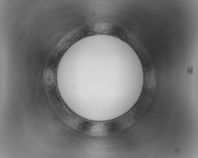 X0000114000705200910231752