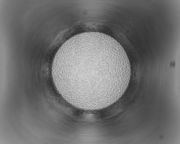 X0000114000706200910231752