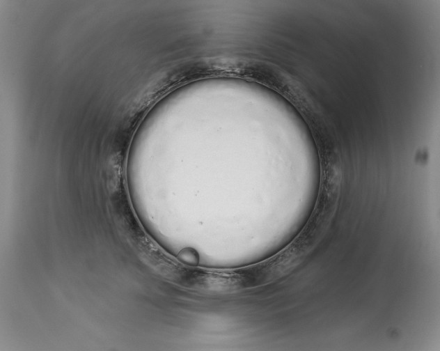 X0000114000707200910231752