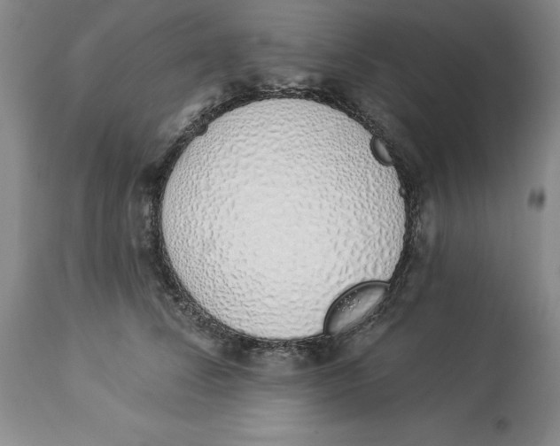X0000114000708200910231752