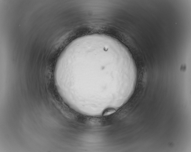 X0000114000710200910231752
