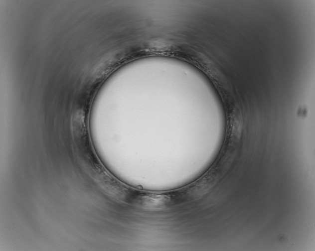X0000114000711200910231752