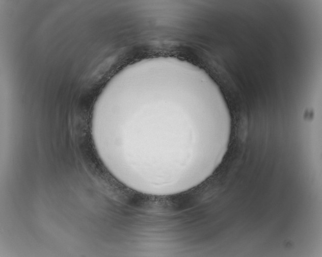 X0000114000712200910231752