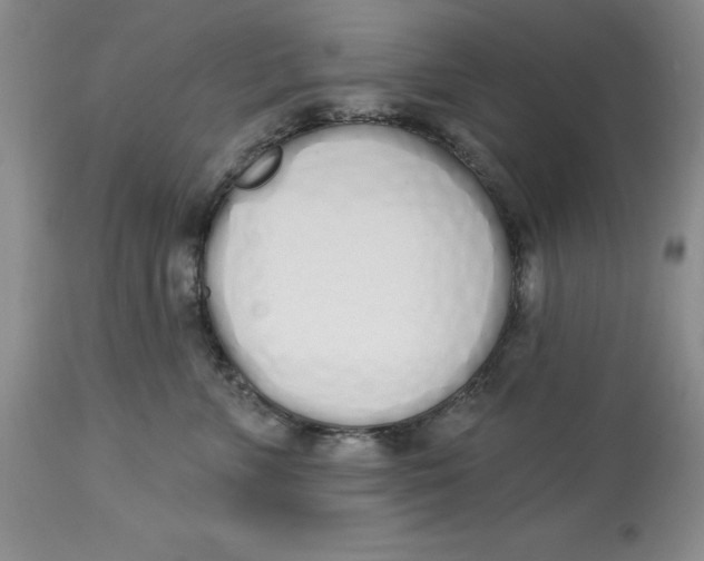 X0000114000715200910231752