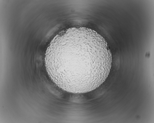 X0000114000716200910231752