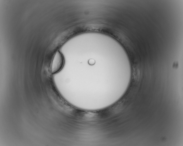X0000114000718200910231752