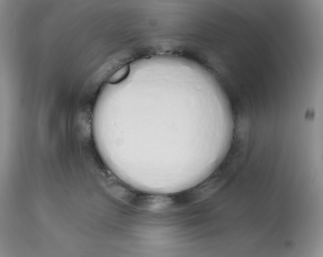 X0000114000719200910231752