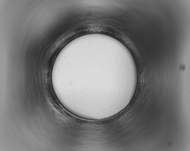 X0000114000722200910231751