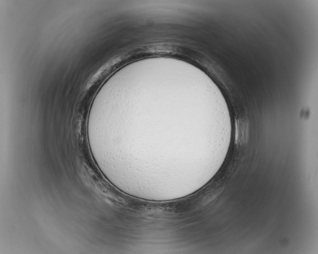 X0000114000723200910231751