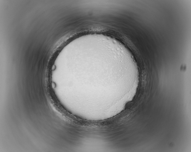 X0000114000726200910231751
