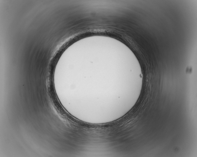 X0000114000728200910231751