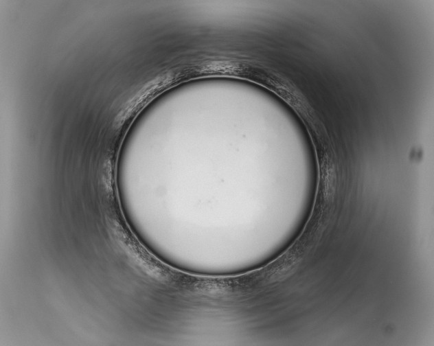X0000114000729200910231751