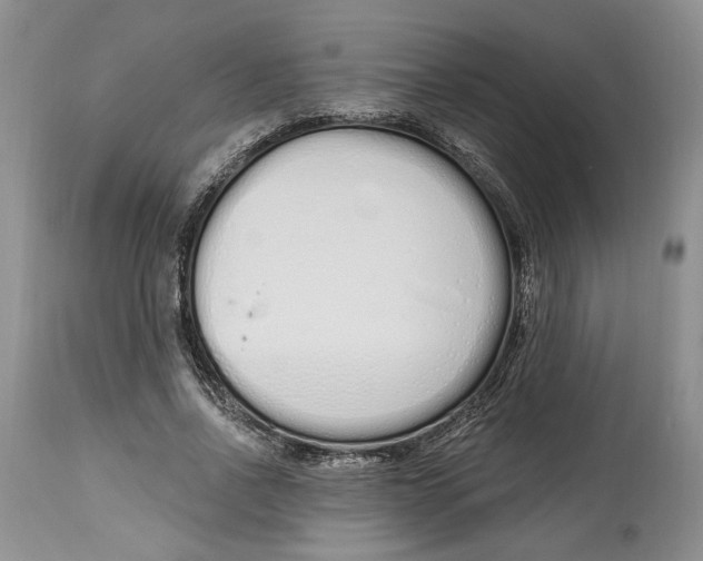 X0000114000734200910231751