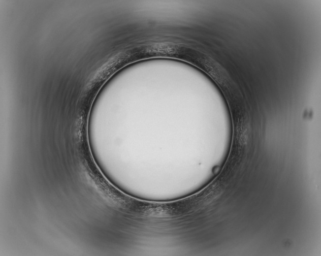 X0000114000735200910231751