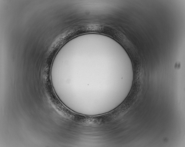X0000114000736200910231751