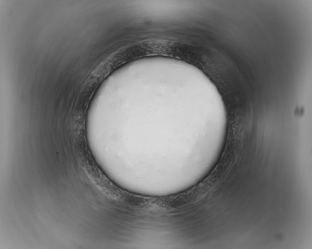 X0000114000737200910231751