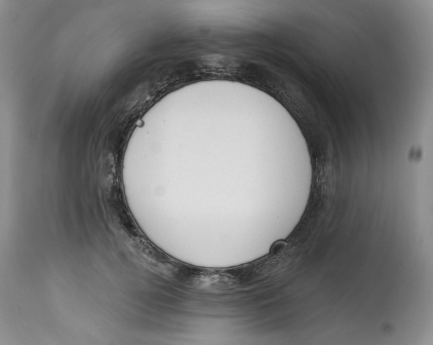 X0000114000752200910231751