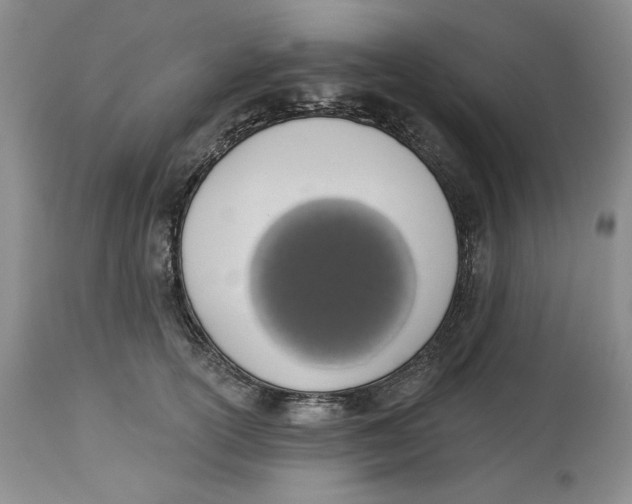 X0000114000754200910231751