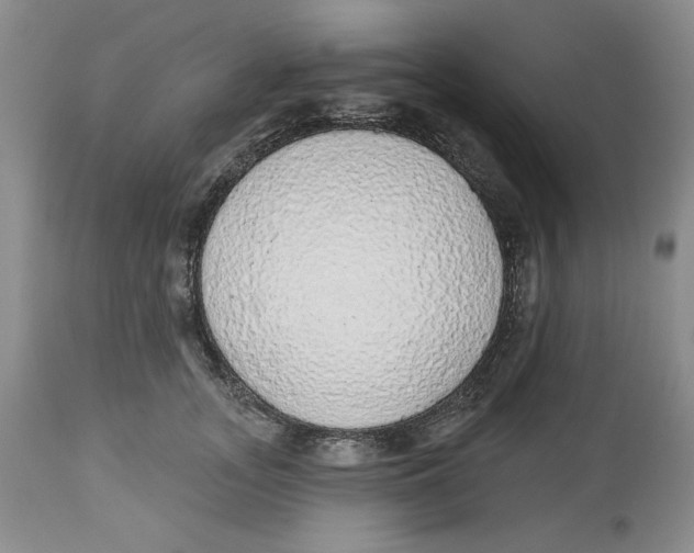 X0000114000755200910231751