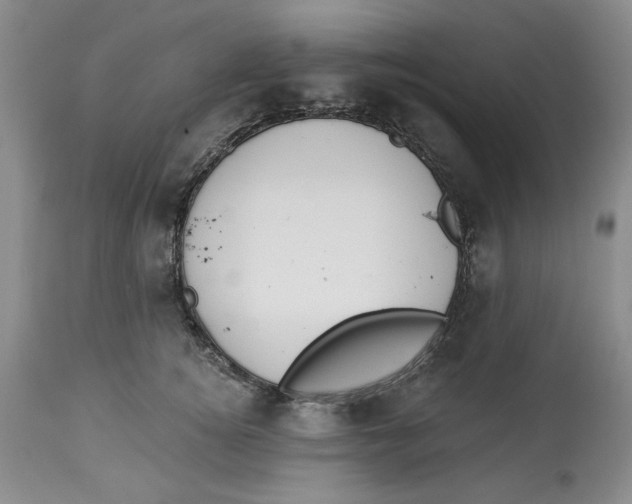 X0000114000756200910231751