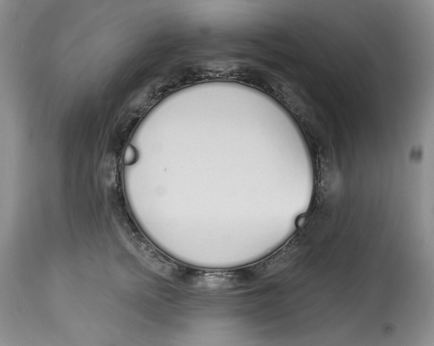 X0000114000758200910231751