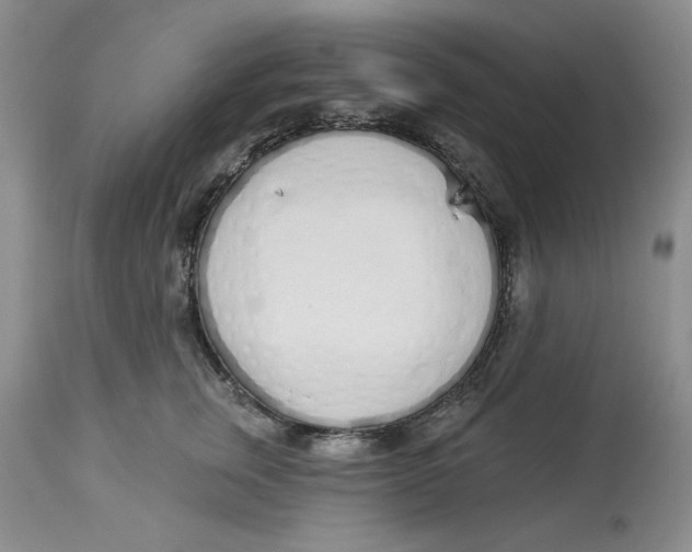 X0000114000759200910231751