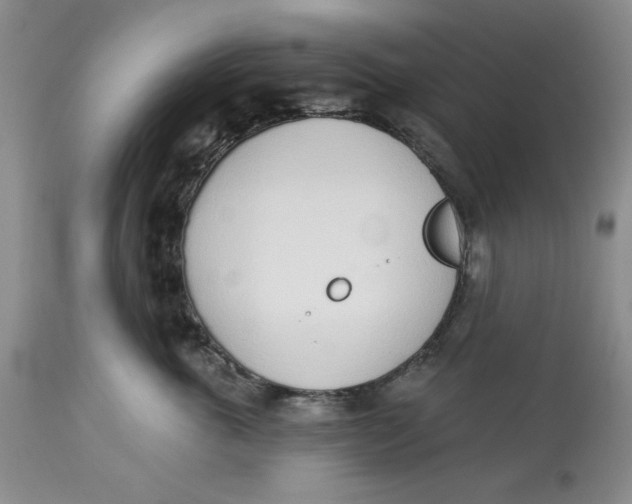 X0000114000763200910231751