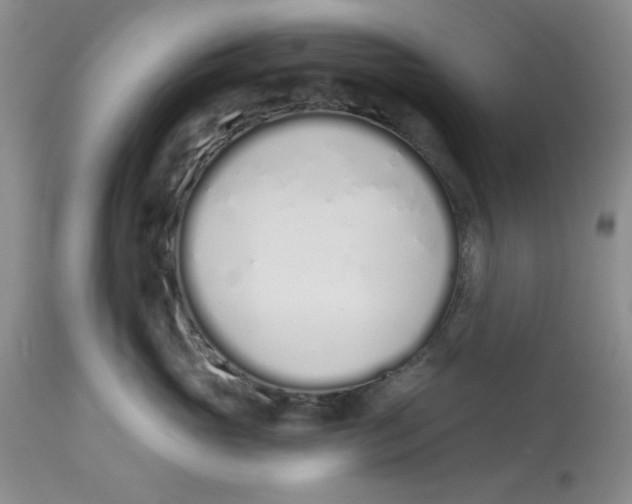 X0000114000765200910231751