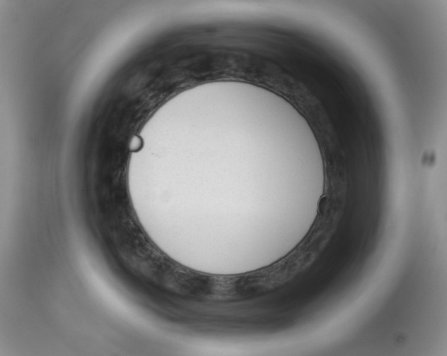 X0000114000766200910231751